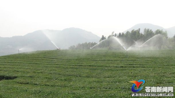八亩后灌溉工程高效节水