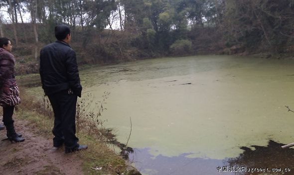 江西永平镇：山坪塘整治 保障农田灌溉用水